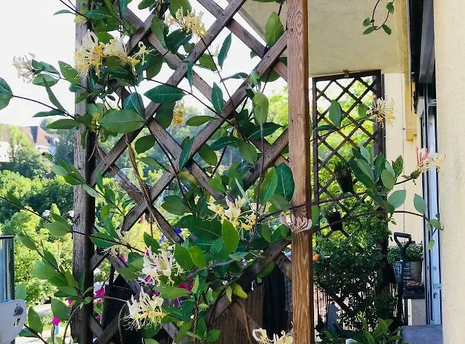 公寓 Krumlove Český Krumlov